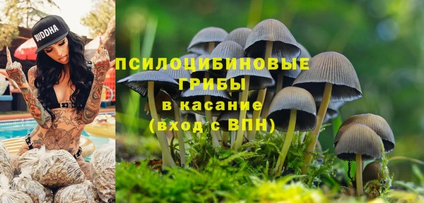 прущая мука Белоозёрский