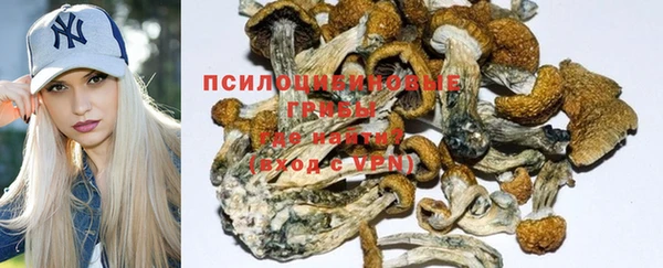 ALPHA PVP Беломорск