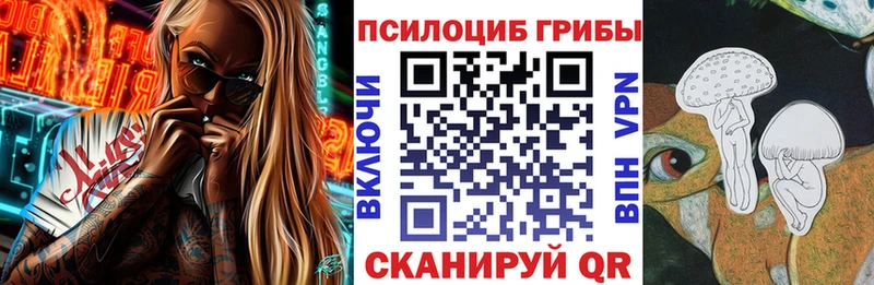 цены наркотик  Берёзовка  Галлюциногенные грибы мицелий 